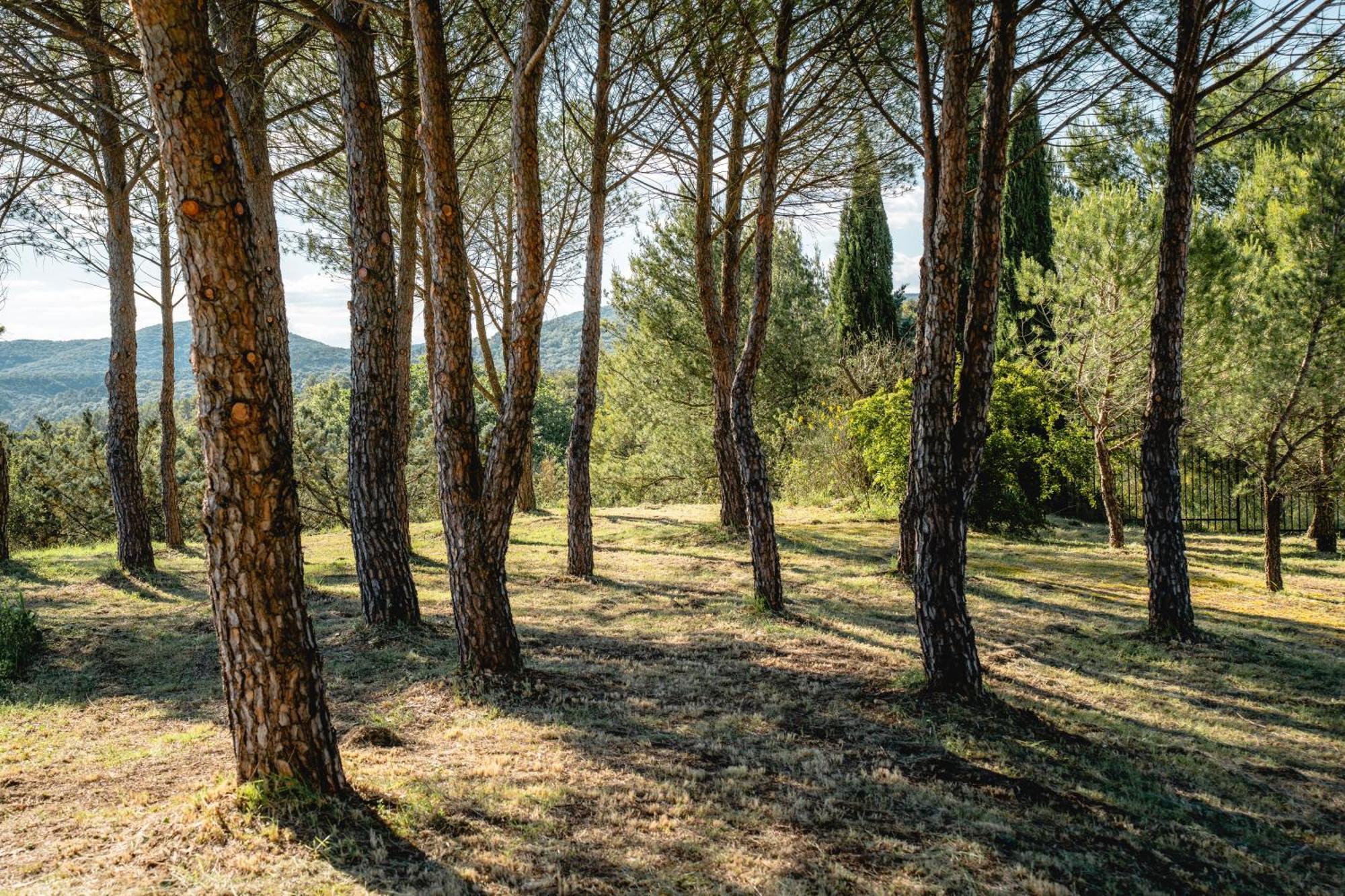 Les Terres Aoyama Ξενοδοχείο Saint Julien Les Rosiers Εξωτερικό φωτογραφία